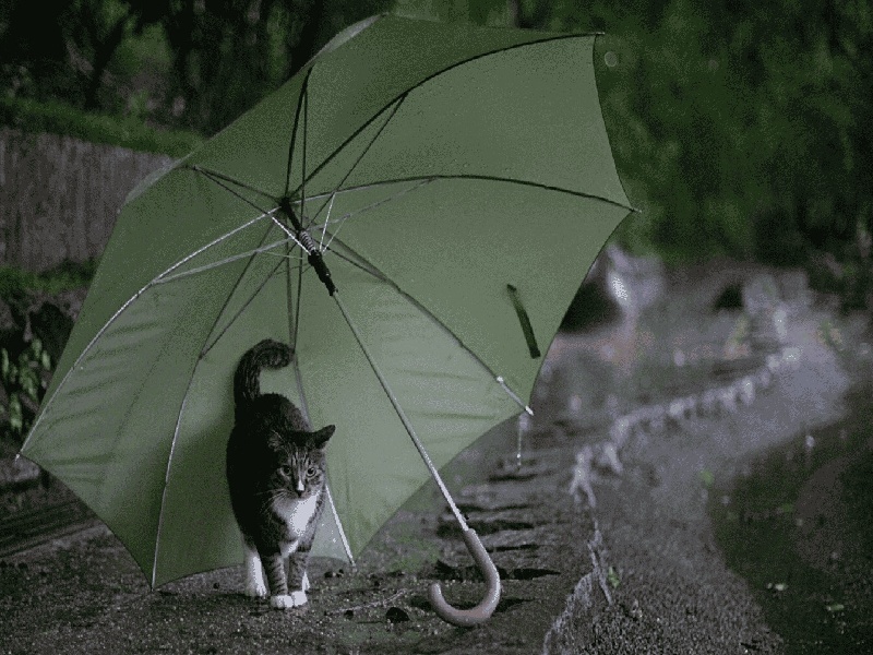 试管宝宝像谁(广西区医院试管婴儿费用)