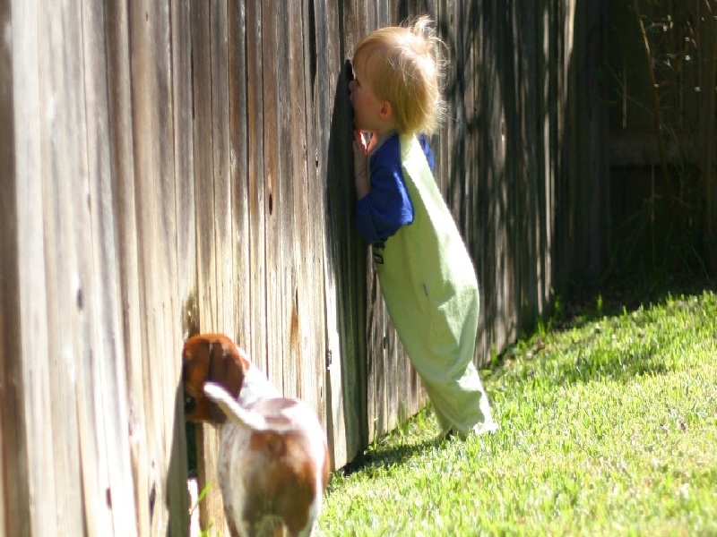 试管hcg翻倍不达标(试管多肽链)